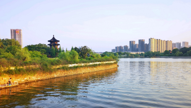 1695021595915.jpg 1695021595915.jpg