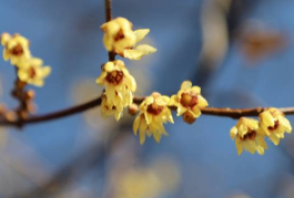 15泰州2.jpg 15泰州2.jpg